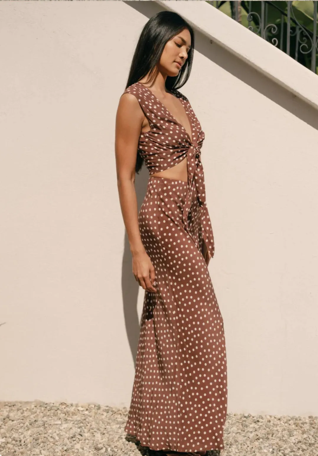 Marni Skirt in Brown Polka Dots